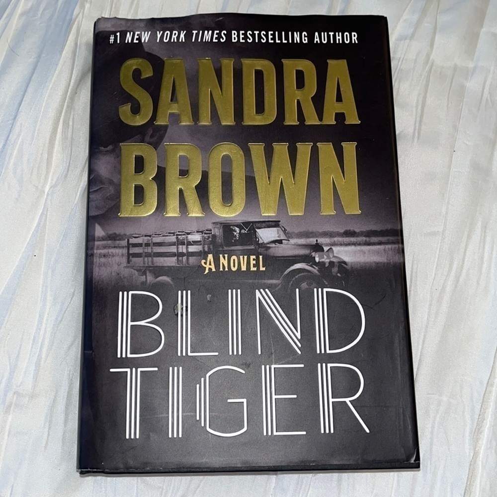 Sandra Brown Blind Tiger Novel